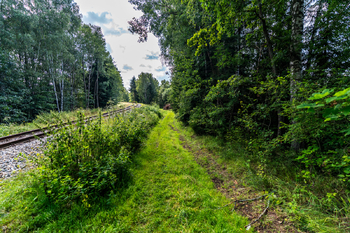 Prodej pozemku 9752 m², Nová Pec