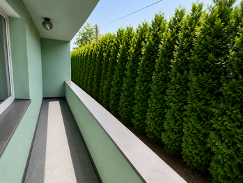 Prodej domu 284 m², Havířov