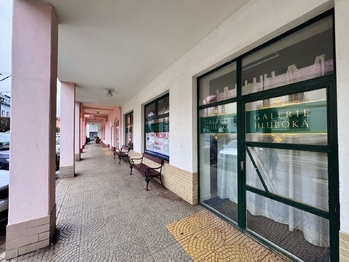 Prodej obchodních prostor 225 m², Hluboká nad Vltavou