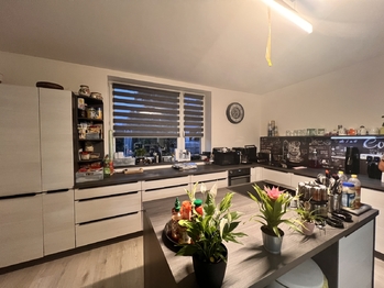 Prodej domu 161 m², Chodov