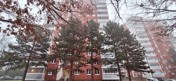 Pohled na dům  - Prodej bytu 3+1 v osobním vlastnictví 60 m², Brno