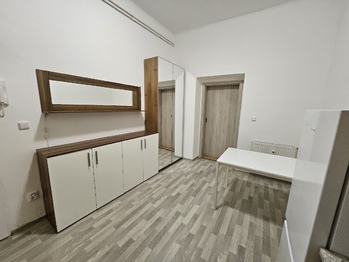 Pronájem bytu 1+1 v osobním vlastnictví 32 m², Brno