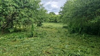 Prodej pozemku 6985 m², Lipník nad Bečvou