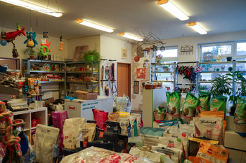 Pronájem obchodních prostor 49 m², Tachov