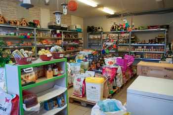 Pronájem obchodních prostor 49 m², Tachov