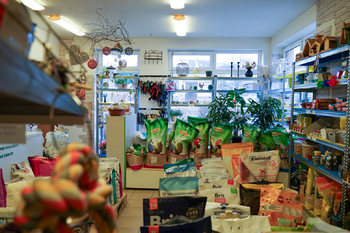 Pronájem obchodních prostor 49 m², Tachov