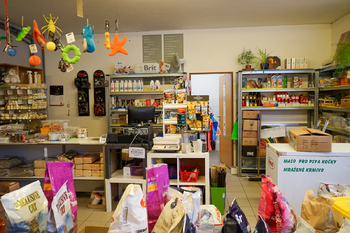 Pronájem obchodních prostor 49 m², Tachov