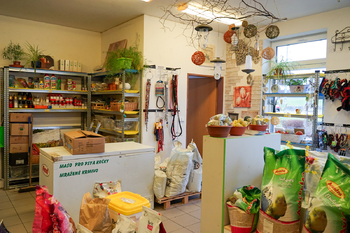 Pronájem obchodních prostor 49 m², Tachov