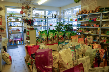 Pronájem obchodních prostor 49 m², Tachov