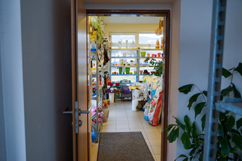 Pronájem obchodních prostor 49 m², Tachov