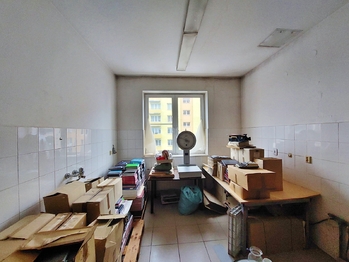 Prodej obchodních prostor 225 m², Hluboká nad Vltavou