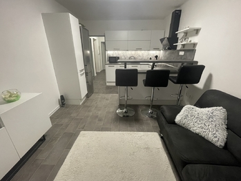 Pronájem bytu 3+kk v osobním vlastnictví 57 m², Tábor