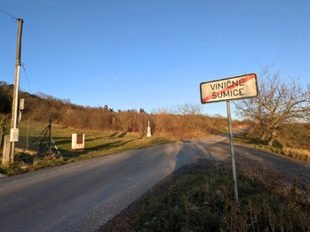 Prodej pozemku 1754 m², Viničné Šumice