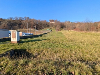 Prodej pozemku 1754 m², Viničné Šumice