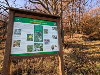 Prodej pozemku 1754 m², Viničné Šumice