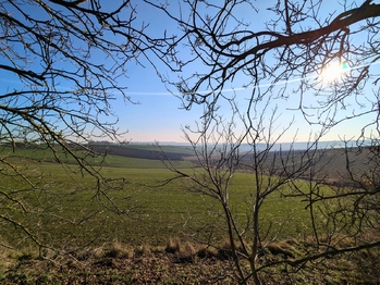 Prodej pozemku 1754 m², Viničné Šumice