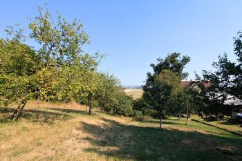 Prodej pozemku 1754 m², Viničné Šumice