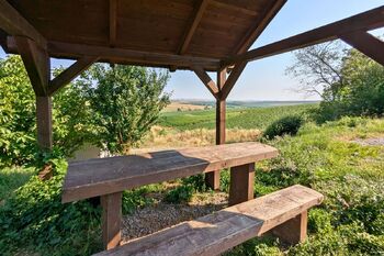 Prodej pozemku 1754 m², Viničné Šumice