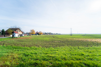 Prodej pozemku 9214 m², Všechlapy