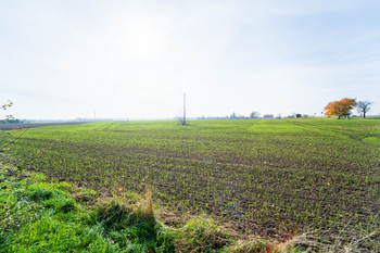 Prodej pozemku 9214 m², Všechlapy