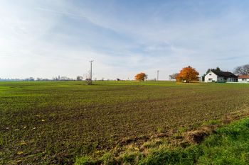 Prodej pozemku 9214 m², Všechlapy