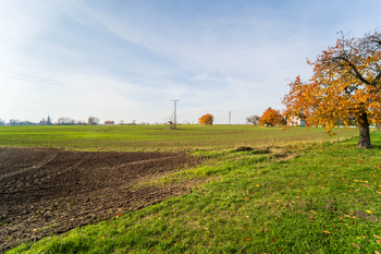 Prodej pozemku 9214 m², Všechlapy