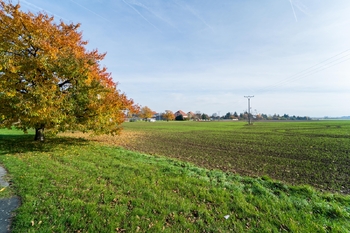 Prodej pozemku 9214 m², Všechlapy