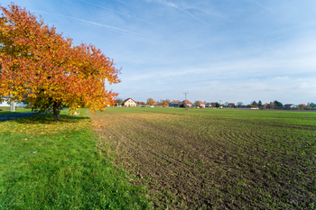 Prodej pozemku 9214 m², Všechlapy