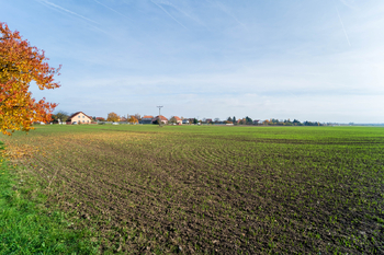 Prodej pozemku 9214 m², Všechlapy