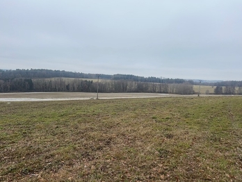 Prodej pozemku 7410 m², Střížov