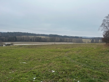 Prodej pozemku 7410 m², Střížov
