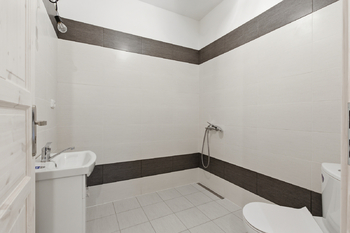 Prodej bytu atypický v osobním vlastnictví 208 m², Pozdeň