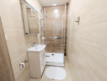 Pronájem bytu 1+kk v družstevním vlastnictví 28 m², Havířov