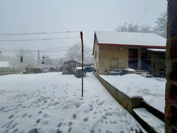 Prodej domu 177 m², Žlutice