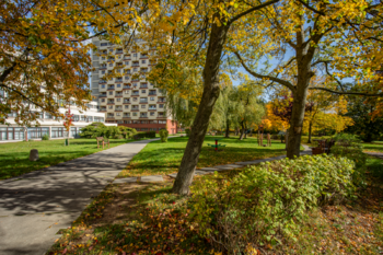 Prodej bytu 2+kk v družstevním vlastnictví 49 m², Litvínov