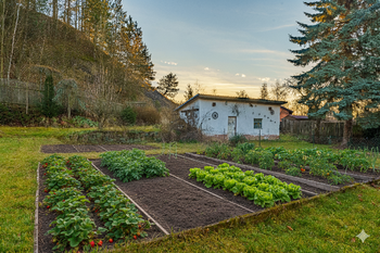 Vizualizace zahrady se záhony - Prodej domu 208 m², Příbram