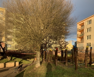 Dětské hřiště ve vnitrobloku - Prodej bytu 1+kk v osobním vlastnictví 20 m², Rakovník