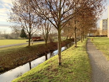 100 m od domu cyklostezka - Prodej bytu 1+kk v osobním vlastnictví 20 m², Rakovník