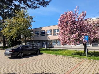 Pronájem obchodních prostor 35 m², Vyškov