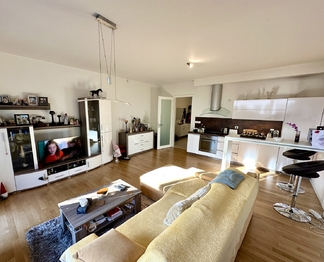 Pronájem bytu 1+kk v osobním vlastnictví 57 m², Praha 4 - Krč