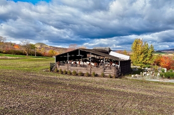 Prodej pozemku 1050 m², Chožov