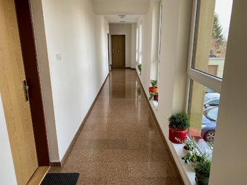 Luxusní společné prostory - Prodej bytu 4+kk v osobním vlastnictví 107 m², Říčany