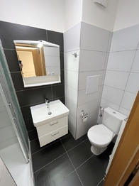 Pronájem bytu 1+kk v osobním vlastnictví 34 m², Praha 8 - Troja