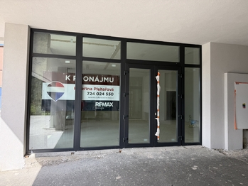 Pronájem obchodních prostor 150 m², Ostrava