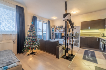 Prodej bytu 1+kk v osobním vlastnictví 44 m², Praha 9 - Letňany