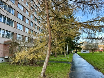 Prodej bytu 4+kk v osobním vlastnictví 68 m², Praha 4 - Krč