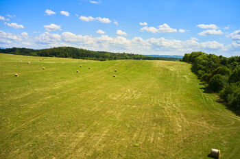 Prodej pozemku 46475 m², Jeníkovice
