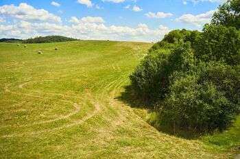 Prodej pozemku 46475 m², Jeníkovice