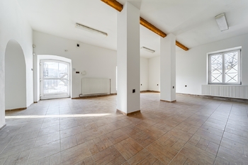 Prodej obchodních prostor 170 m², Dětmarovice