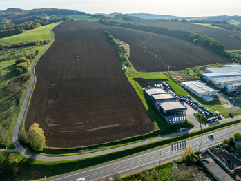 Prodej pozemku 3200 m², Lípa